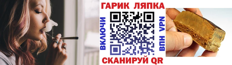 Купить закладки  Выборг  ГАШИШ Premium 