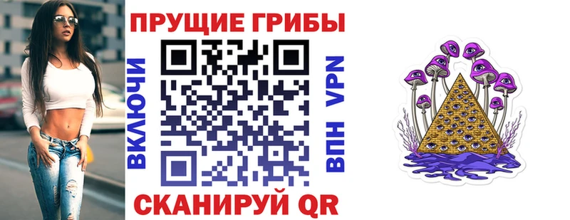 Купить закладки  Выборг  Галлюциногенные грибы Cubensis 